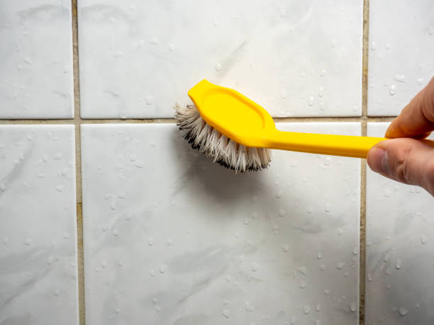 Best Mold Damage Repair  in Gila Bend, AZ