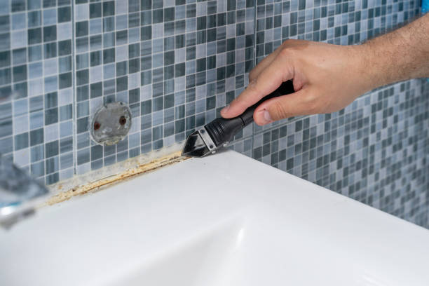 Reliable Gila Bend, AZ Mold Removal Solutions