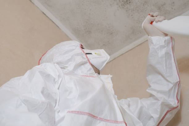 Office Mold Removal Services in Gila Bend, AZ