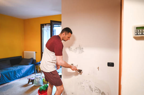 Best Professional Mold Removal  in Gila Bend, AZ